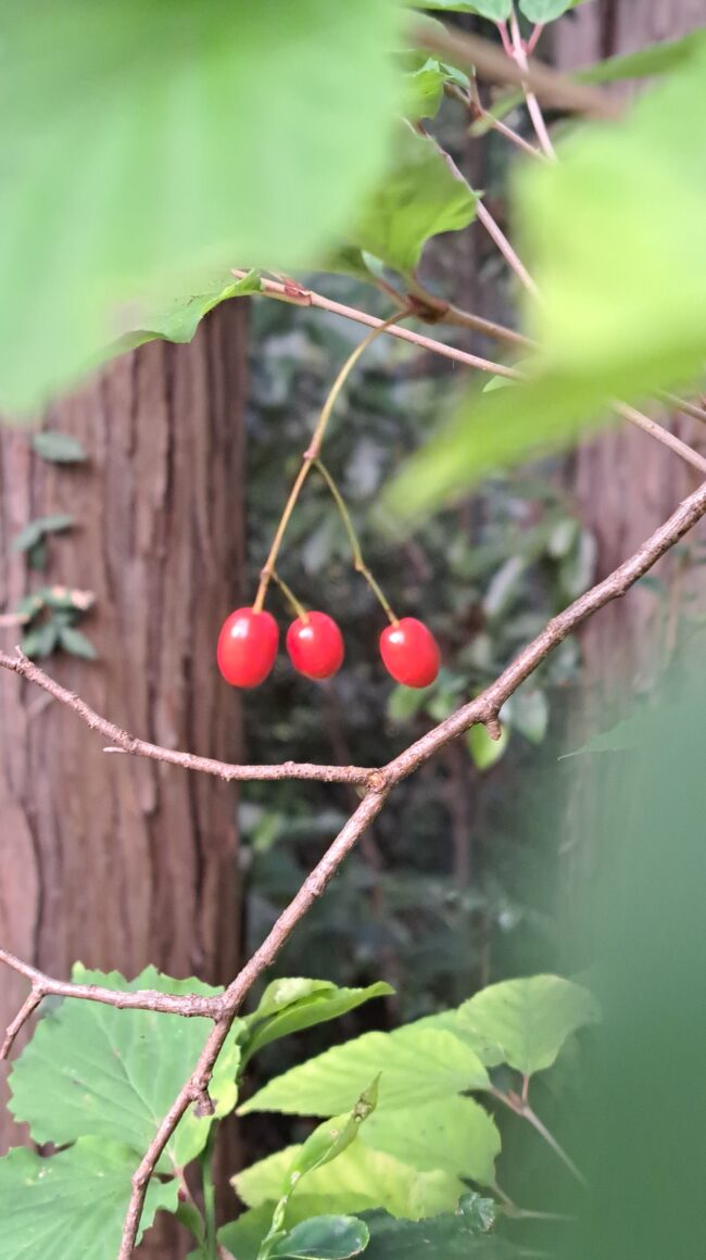 投稿についてもっと詳しく ハンモックフルネス、最高だ～！